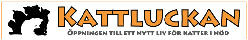 Kattluckan