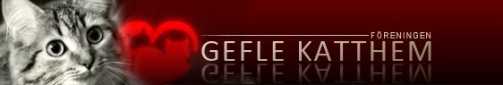 Gefle Katthem